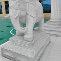 乌兰察布 白麻花岗岩动物异形石雕-大象