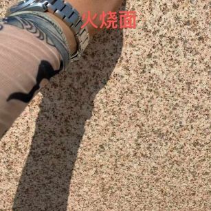 乌兰察布黄金麻火烧面