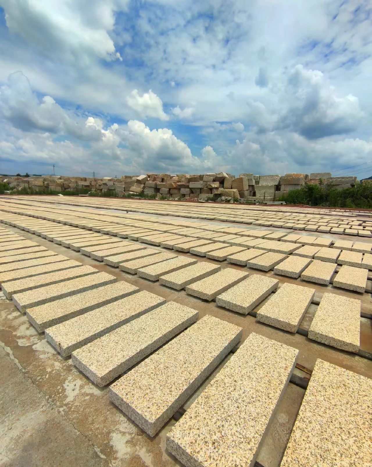 乌兰察布 黄金麻花岗岩荔枝面地铺石防护中